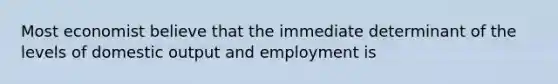 Most economist believe that the immediate determinant of the levels of domestic output and employment is