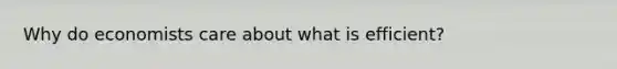 Why do economists care about what is efficient?