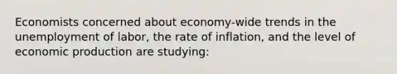 Economists concerned about economy-wide trends in the unemployment of labor, the rate of inflation, and the level of economic production are studying: