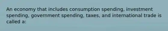 An economy that includes consumption spending, investment spending, government spending, taxes, and international trade is called a: