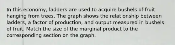 In this economy, ladders are used to acquire bushels of fruit hanging from trees. The graph shows the relationship between ladders, a factor of production, and output measured in bushels of fruit. Match the size of the marginal product to the corresponding section on the graph.