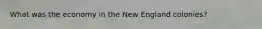 What was the economy in the New England colonies?