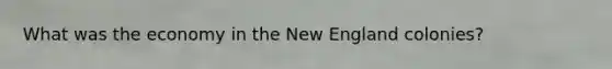 What was the economy in the New England colonies?