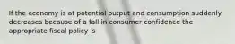 If the economy is at potential output and consumption suddenly decreases because of a fall in consumer confidence the appropriate fiscal policy is