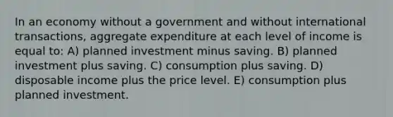 In an economy without a government and without international transactions, aggregate expenditure at each level of income is equal to: A) planned investment minus saving. B) planned investment plus saving. C) consumption plus saving. D) disposable income plus the price level. E) consumption plus planned investment.