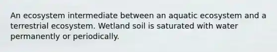 An ecosystem intermediate between an aquatic ecosystem and a terrestrial ecosystem. Wetland soil is saturated with water permanently or periodically.