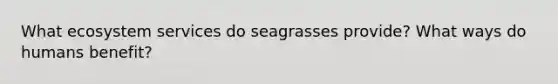 What ecosystem services do seagrasses provide? What ways do humans benefit?