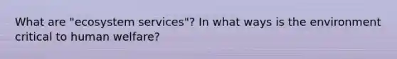 What are "ecosystem services"? In what ways is the environment critical to human welfare?
