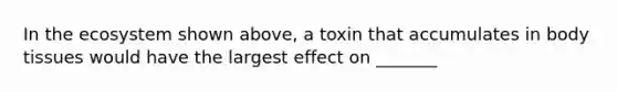 In the ecosystem shown above, a toxin that accumulates in body tissues would have the largest effect on _______