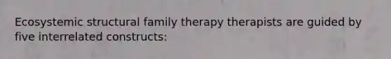 Ecosystemic structural family therapy therapists are guided by five interrelated constructs: