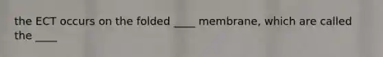 the ECT occurs on the folded ____ membrane, which are called the ____