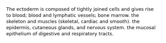 The ectoderm is composed of tightly joined cells and gives rise to blood; blood and lymphatic vessels; bone marrow. the skeleton and muscles (skeletal, cardiac and smooth). the epidermis, cutaneous glands, and nervous system. the mucosal epithelium of digestive and respiratory tracts.