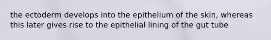 the ectoderm develops into the epithelium of the skin, whereas this later gives rise to the epithelial lining of the gut tube