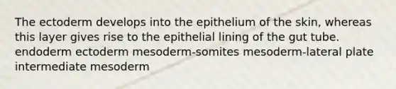 The ectoderm develops into the epithelium of the skin, whereas this layer gives rise to the epithelial lining of the gut tube. endoderm ectoderm mesoderm-somites mesoderm-lateral plate intermediate mesoderm