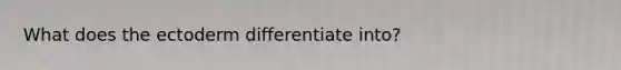 What does the ectoderm differentiate into?