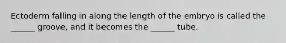 Ectoderm falling in along the length of the embryo is called the ______ groove, and it becomes the ______ tube.