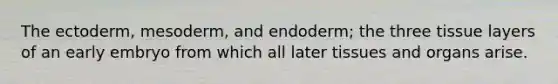 The ectoderm, mesoderm, and endoderm; the three tissue layers of an early embryo from which all later tissues and organs arise.