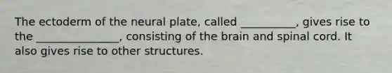 The ectoderm of the neural plate, called __________, gives rise to the _______________, consisting of the brain and spinal cord. It also gives rise to other structures.