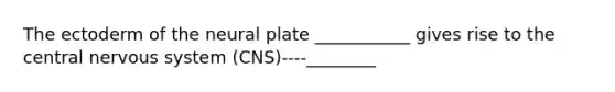 The ectoderm of the neural plate ___________ gives rise to the central nervous system (CNS)----________