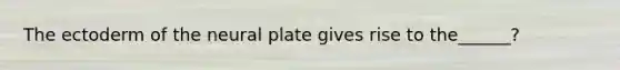 The ectoderm of the neural plate gives rise to the______?