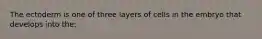 The ectoderm is one of three layers of cells in the embryo that develops into the: