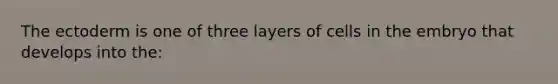 The ectoderm is one of three layers of cells in the embryo that develops into the: