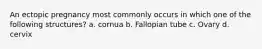 An ectopic pregnancy most commonly occurs in which one of the following structures? a. cornua b. Fallopian tube c. Ovary d. cervix