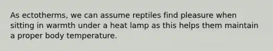 As ectotherms, we can assume reptiles find pleasure when sitting in warmth under a heat lamp as this helps them maintain a proper body temperature.