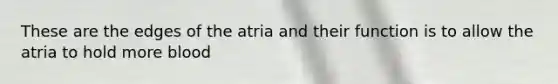 These are the edges of the atria and their function is to allow the atria to hold more blood