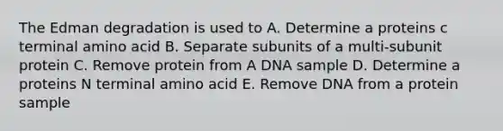 The Edman degradation is used to A. Determine a proteins c terminal amino acid B. Separate subunits of a multi-subunit protein C. Remove protein from A DNA sample D. Determine a proteins N terminal amino acid E. Remove DNA from a protein sample