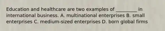 Education and healthcare are two examples of​ _________ in international business. A. multinational enterprises B. small enterprises C. medium-sized enterprises D. born global firms