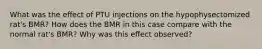 What was the eﬀect of PTU injections on the hypophysectomized rat's BMR? How does the BMR in this case compare with the normal rat's BMR? Why was this eﬀect observed?