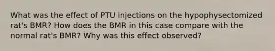 What was the eﬀect of PTU injections on the hypophysectomized rat's BMR? How does the BMR in this case compare with the normal rat's BMR? Why was this eﬀect observed?