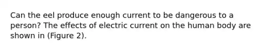 Can the eel produce enough current to be dangerous to a person? The effects of electric current on the human body are shown in (Figure 2).