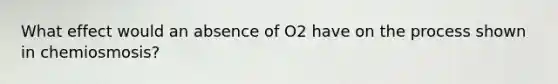 What effect would an absence of O2 have on the process shown in chemiosmosis?