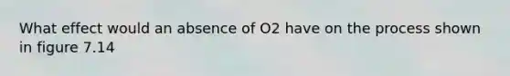 What effect would an absence of O2 have on the process shown in figure 7.14