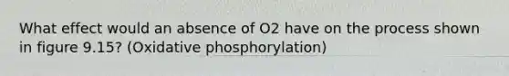 What effect would an absence of O2 have on the process shown in figure 9.15? (Oxidative phosphorylation)