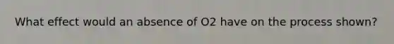 What effect would an absence of O2 have on the process shown?