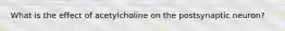 What is the effect of acetylcholine on the postsynaptic neuron?