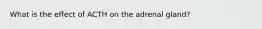 What is the effect of ACTH on the adrenal gland?