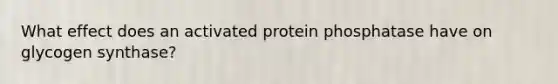 What effect does an activated protein phosphatase have on glycogen synthase?