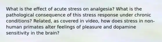 What is the effect of acute stress on analgesia? What is the pathological consequence of this stress response under chronic conditions? Related, as covered in video, how does stress in non-human primates alter feelings of pleasure and dopamine sensitivity in the brain?