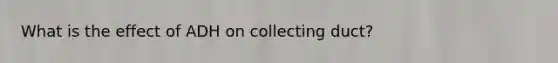 What is the effect of ADH on collecting duct?