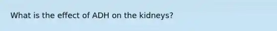 What is the effect of ADH on the kidneys?