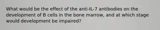 What would be the effect of the anti-IL-7 antibodies on the development of B cells in the bone marrow, and at which stage would development be impaired?