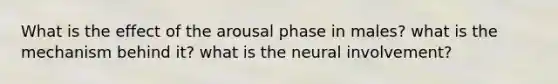 What is the effect of the arousal phase in males? what is the mechanism behind it? what is the neural involvement?