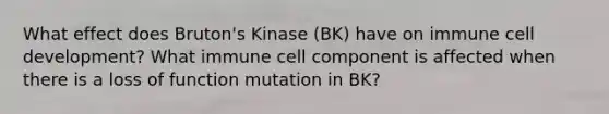 What effect does Bruton's Kinase (BK) have on immune cell development? What immune cell component is affected when there is a loss of function mutation in BK?