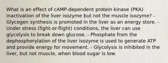 What is an effect of cAMP-dependent protein kinase (PKA) inactivation of the liver isozyme but not the muscle isozyme? - Glycogen synthesis is promoted in the liver as an energy store. - Under stress (fight-or-flight) conditions, the liver can use glycolysis to break down glucose. - Phosphate from the dephosphorylation of the liver isozyme is used to generate ATP and provide energy for movement. - Glycolysis is inhibited in the liver, but not muscle, when blood sugar is low.