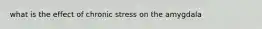 what is the effect of chronic stress on the amygdala