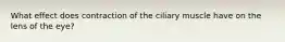 What effect does contraction of the ciliary muscle have on the lens of the eye?